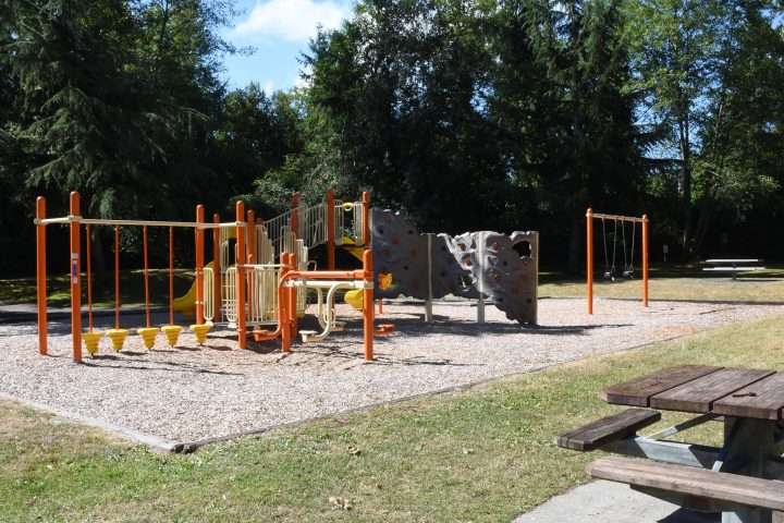 Playground at Palisades Park featuring bright orange climbing structures, slides, a rock wall, and swings set on a gravel play area, with picnic tables and tall evergreen trees surrounding the park on a sunny day.